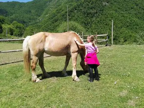 Photo de I Cavalli del Vento - passeggiate a cavallo
