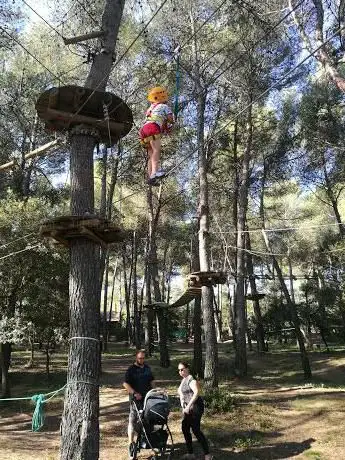 Photo de Le Royaume des Arbres - Charleval
