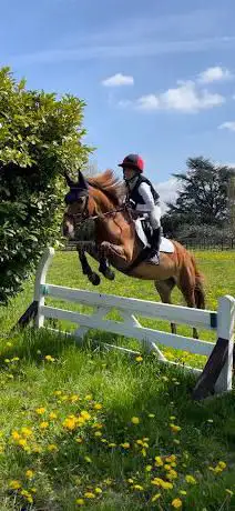 Photo de Littleton Manor Equestrian Centre