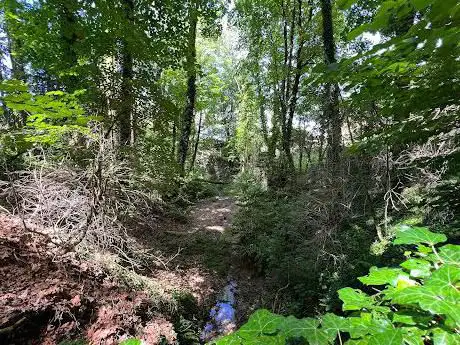 Sentier botanique du Médalon