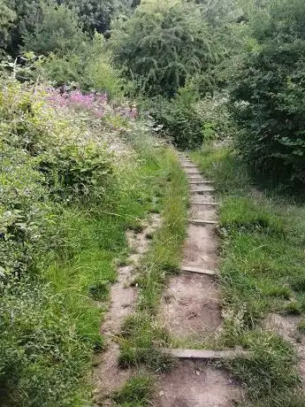 Photo de Coombe Brook Nature Reserve