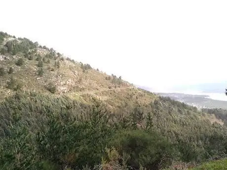 Mirador