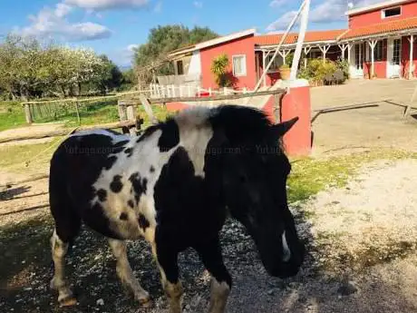 Centro Equestre Neulè