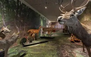 Photo de Valais Nature Museum