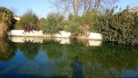Photo de Parco dell'Acqua e del Vino
