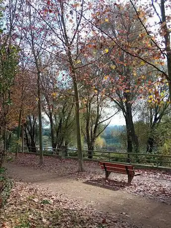 Photo de Skatepark Manlleu
