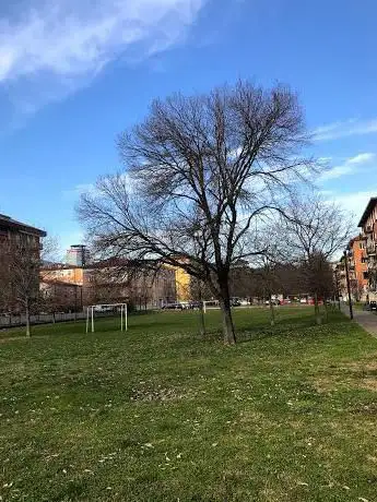 Parco Michele Zorat