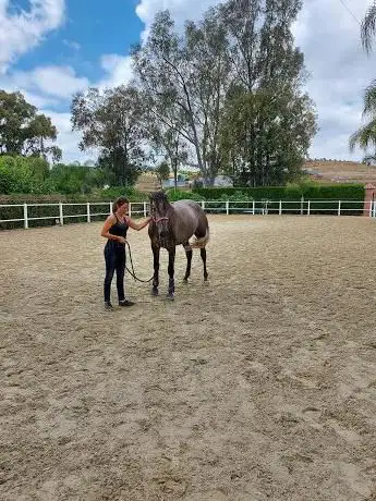 Photo de Club de Equitación Rio Grande