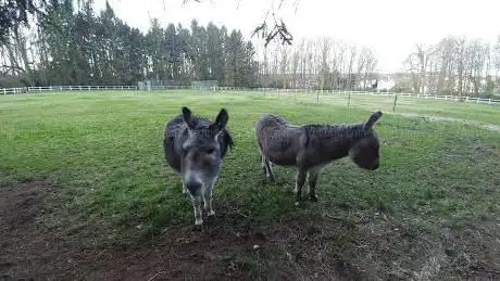 Photo de Kasteel Rey / Calmeyn