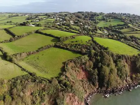 Field - The Den