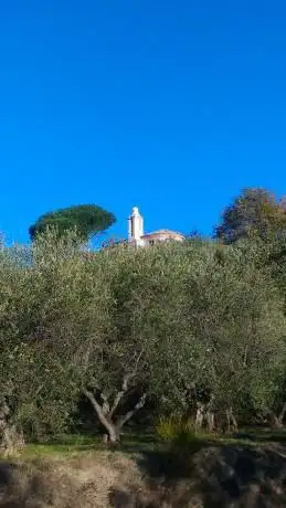 Photo de Castello dei Folchi