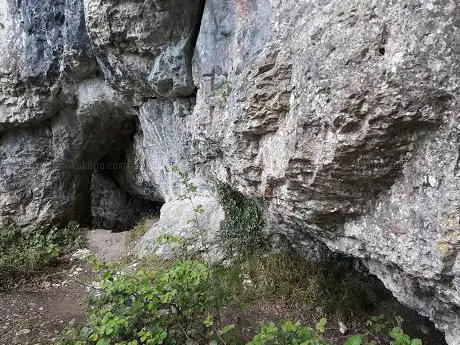 Photo de White Rocks Nature Reserve