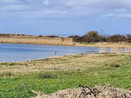 Portbury Wharf Nature Reserve