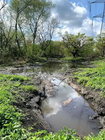 Photo de Maltby Low Common Nature Reserve