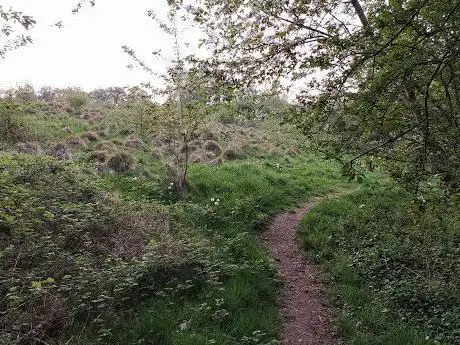 Newtown off road bike track