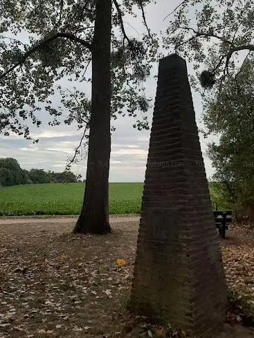 Wijngaerdbos