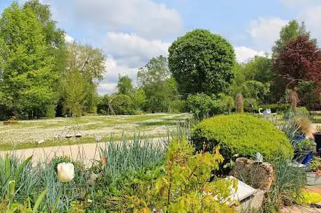 Photo de le buisson de la gariole