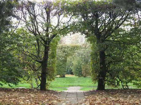 Photo de The Tree Cathedral