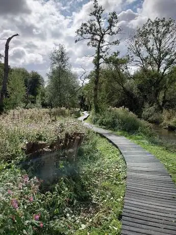 Photo de Donkey woods