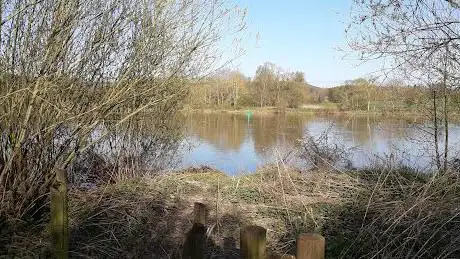 Confluence du ruisseau d'Oudrenne et de la Moselle