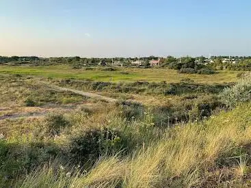 Photo de St Laureins Dunes