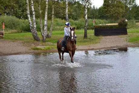 Photo de Lottie Crocker Horses. LTD.