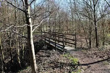 Schauwbroek