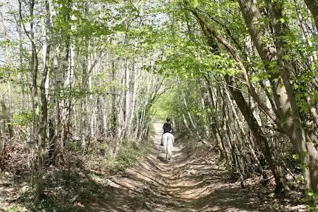 Photo de Ecurie du Domaine de Maffliers