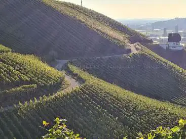 Photo de Aussichtspunkt