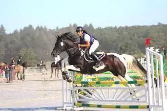 Photo de CENTRE EQUESTRE DE CANTEGRIL