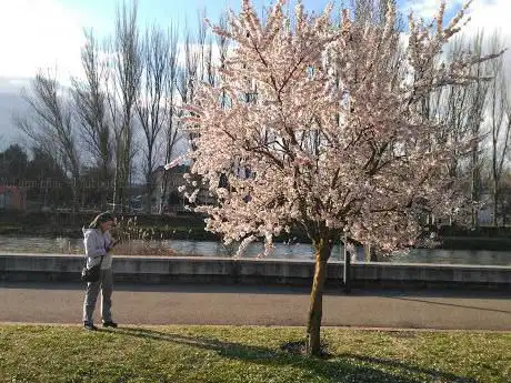 Photo de Paseo de Las Fuentecillas