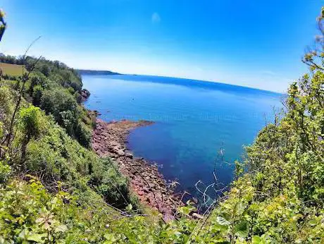Seal Cove