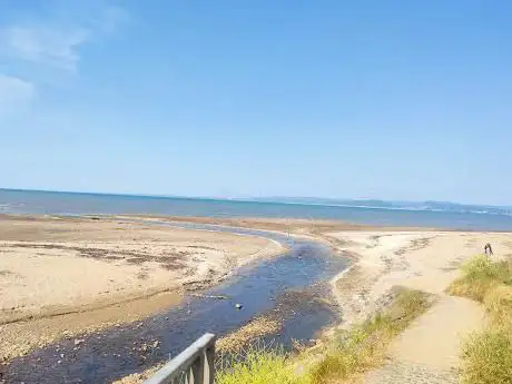 Swansea Beach