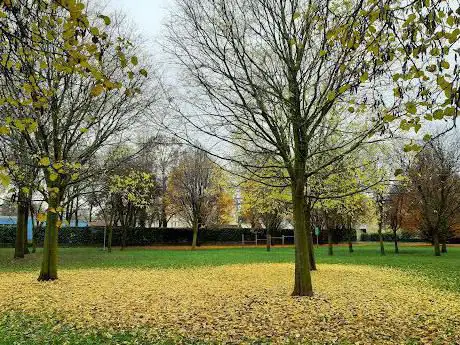 Parco Federico Fellini