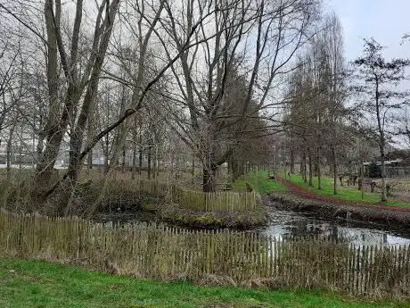 Speelbos