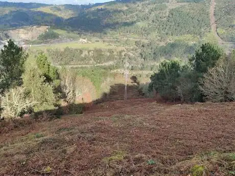 Penedos
