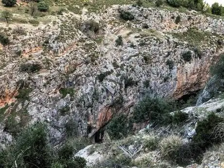 Photo de Mirador Ornitológico