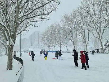 Photo de Avenidas Park