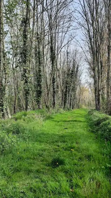 Het Kraaiveldbos