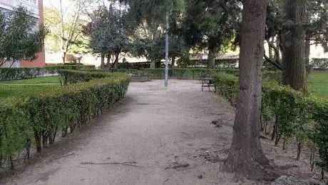 Photo de Alita de Pollo Park