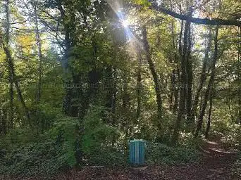 Photo de Auverne Woods