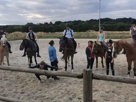 Photo de Haras Des Erables