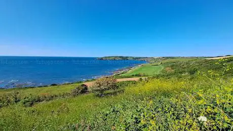 Wembury Point