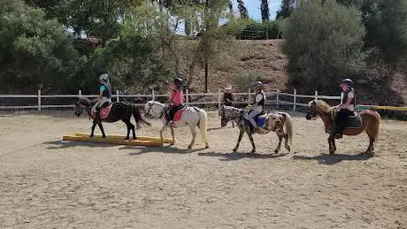 Photo de Escola d'equitació Oso Pony i Pony Club Sitges