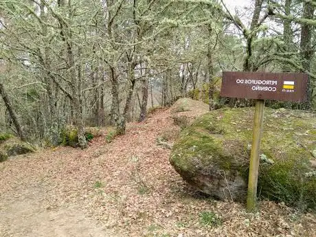Photo de Petroglifos Corniño