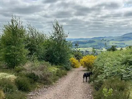 Photo de Gallow Hill