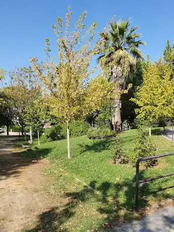 Photo de Iglesia de Los Milagros Park