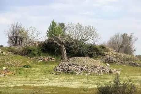 Specchia Vittorio