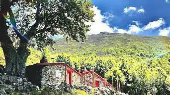 bocca palmenre