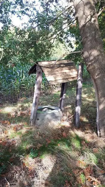 Sprokkelbos